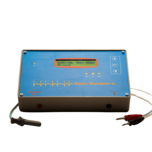 Symulator S1 AMI Italia 